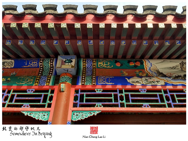 查看更多精彩图片