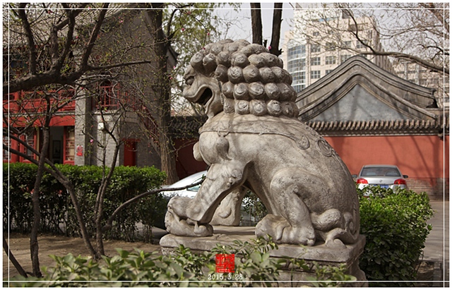 查看更多精彩图片