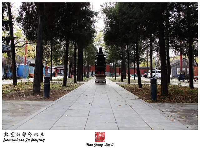 查看更多精彩图片