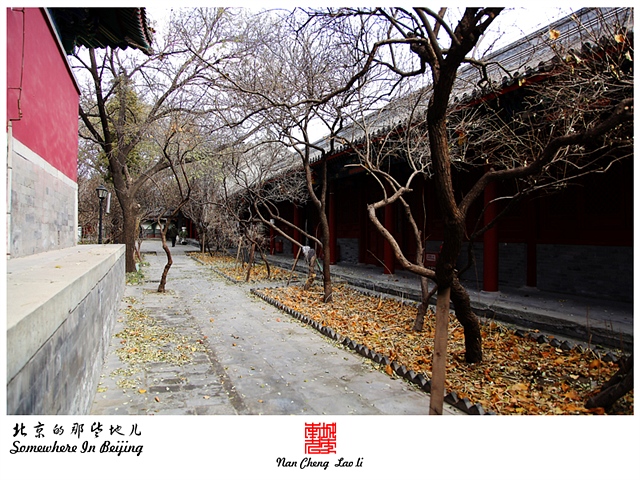 查看更多精彩图片