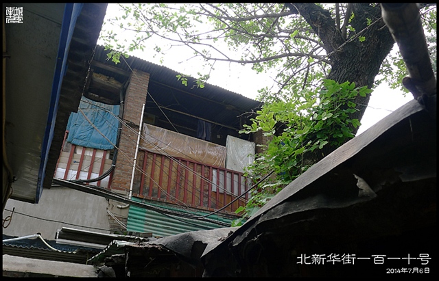 查看更多精彩图片