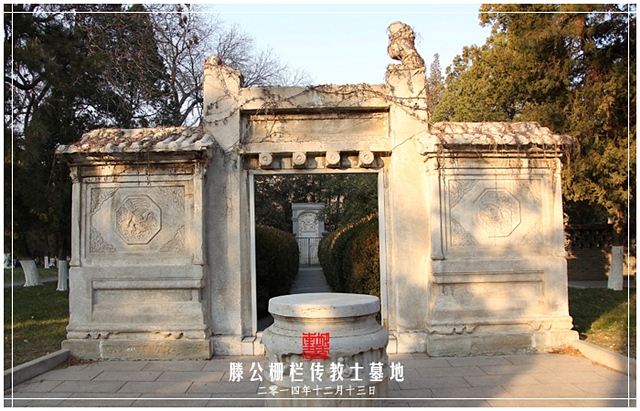 查看更多精彩图片