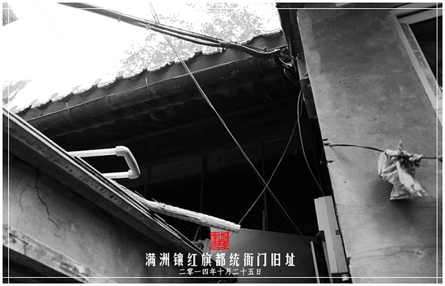 查看更多精彩图片