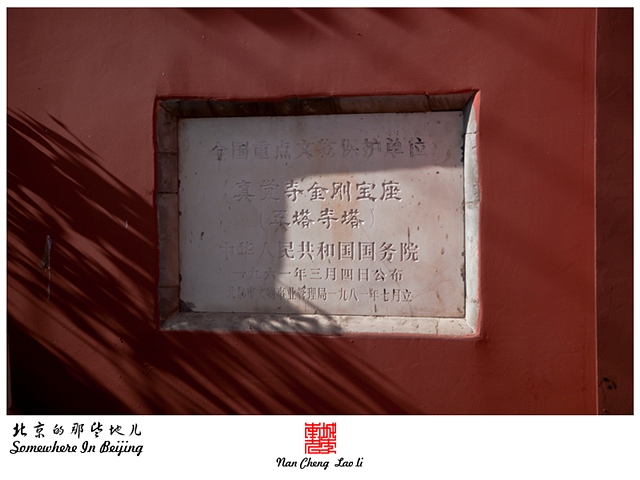 查看更多精彩图片