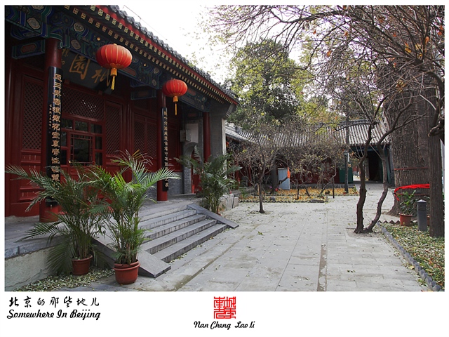 查看更多精彩图片