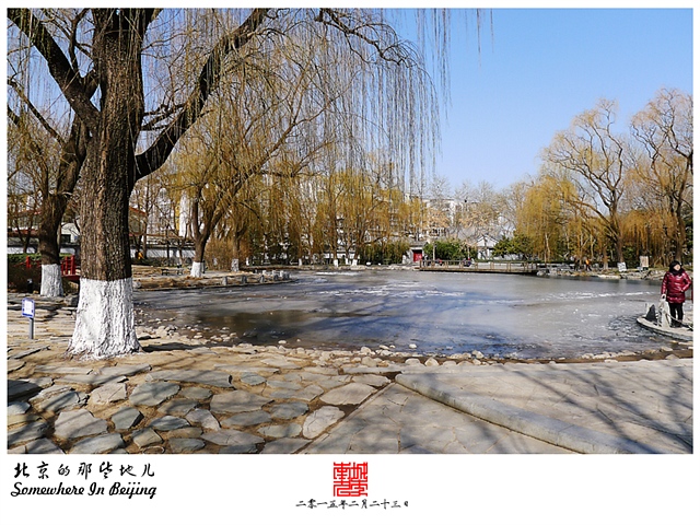 查看更多精彩图片