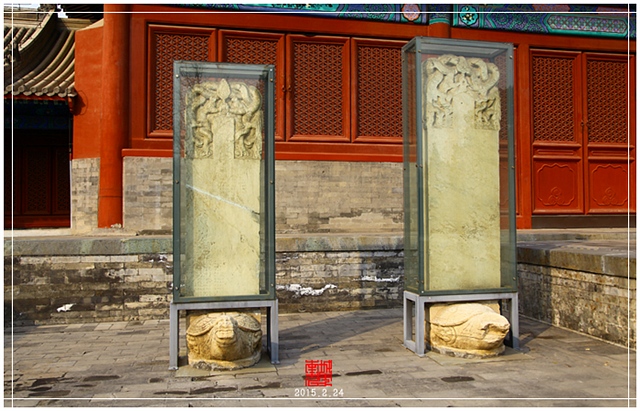 查看更多精彩图片