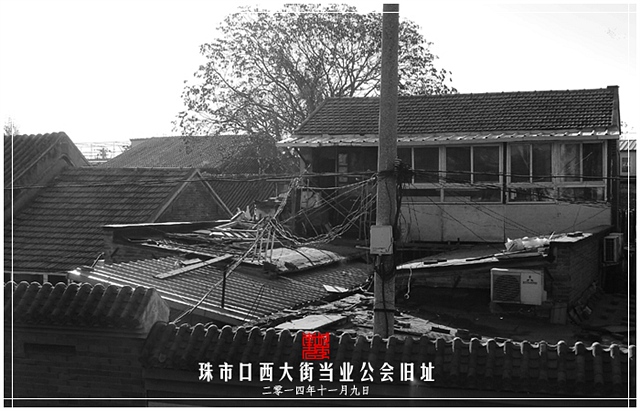 查看更多精彩图片