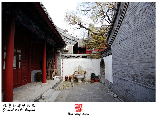 查看更多精彩图片