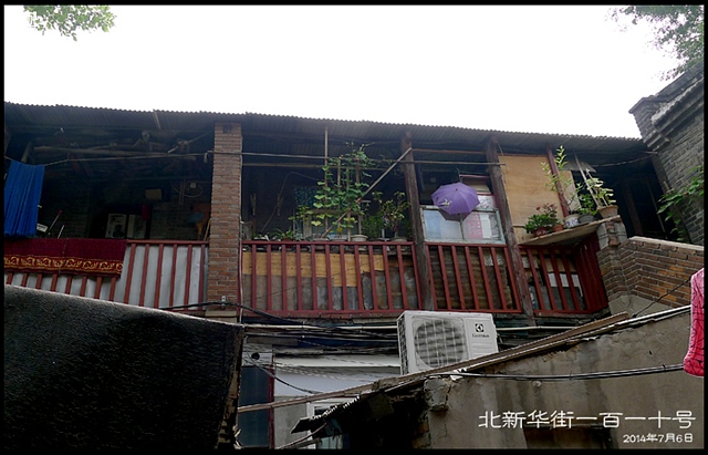 查看更多精彩图片