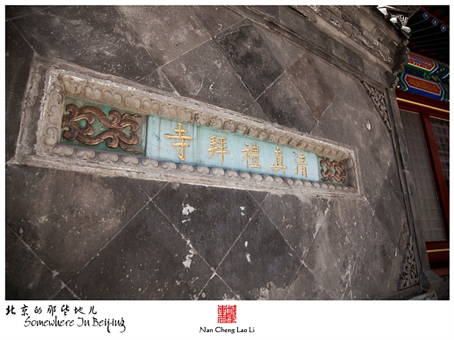 查看更多精彩图片