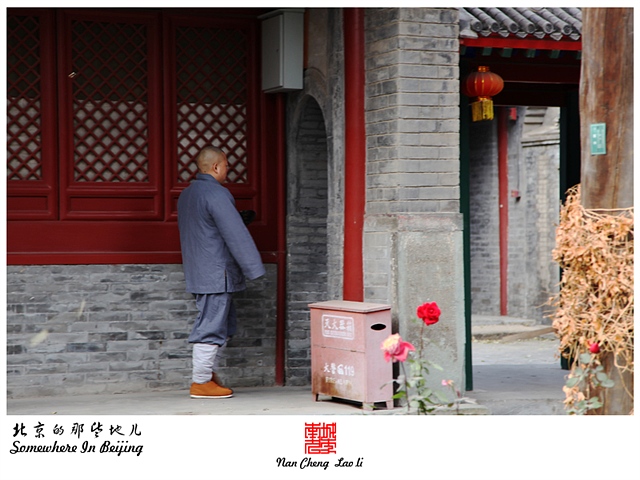 查看更多精彩图片