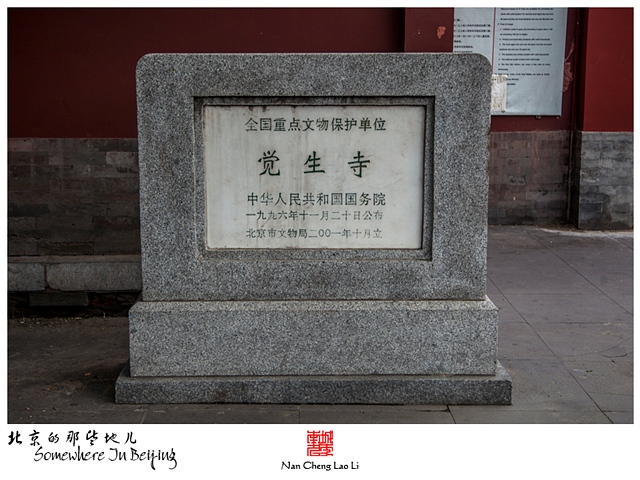 查看更多精彩图片