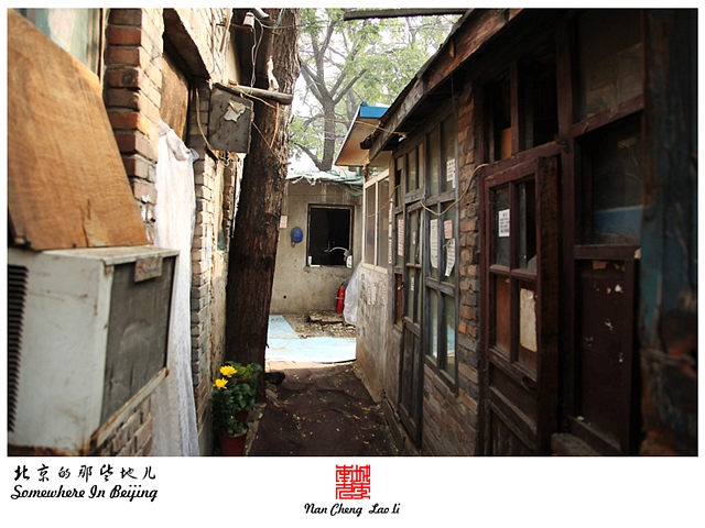 查看更多精彩图片