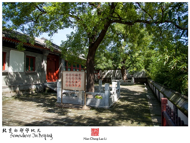 查看更多精彩图片