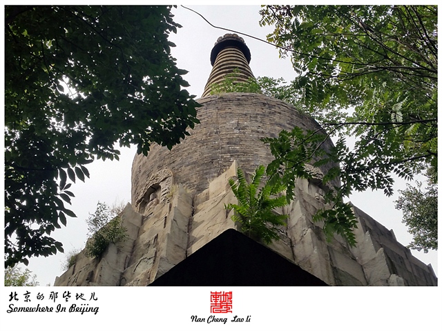 查看更多精彩图片