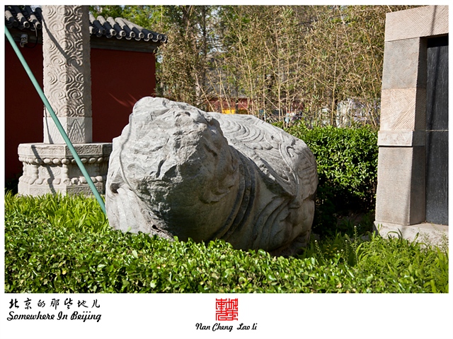 查看更多精彩图片