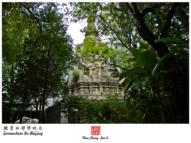 查看更多精彩图片