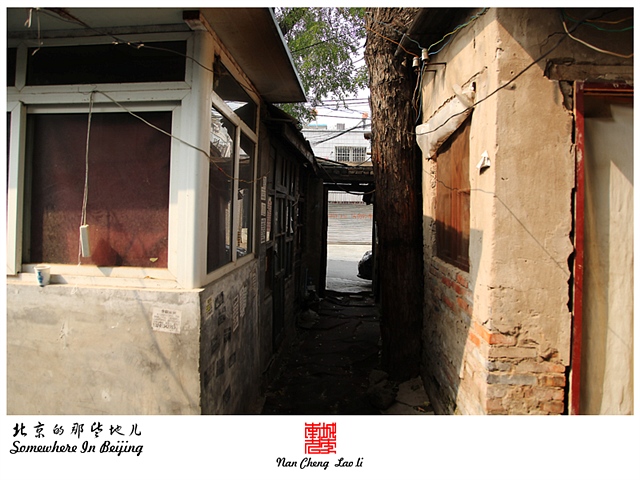 查看更多精彩图片
