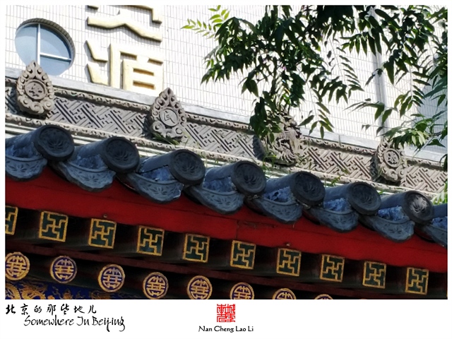 查看更多精彩图片