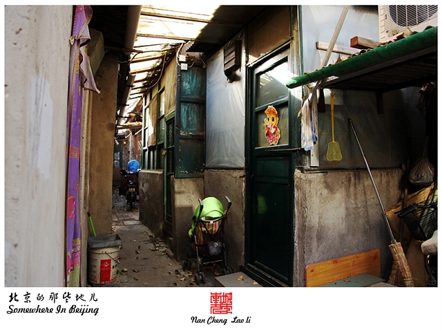 查看更多精彩图片