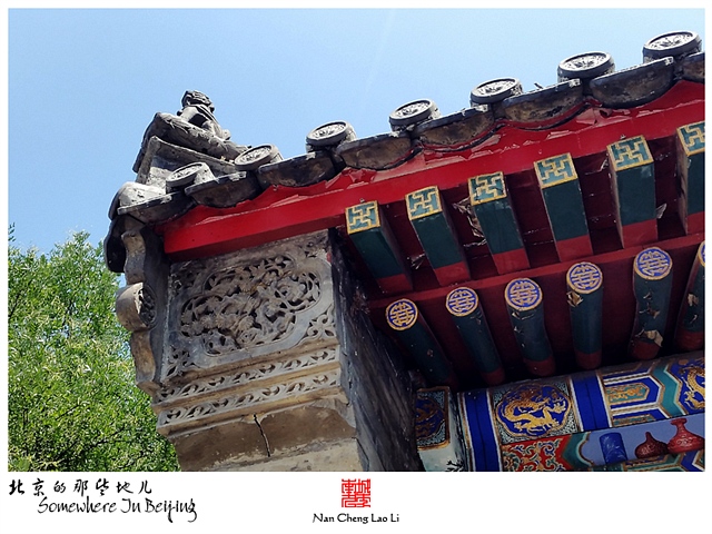 查看更多精彩图片