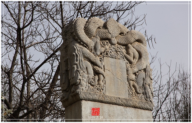 查看更多精彩图片