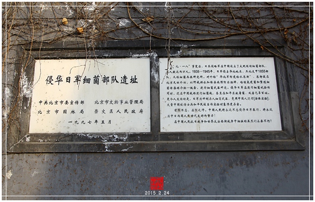 查看更多精彩图片