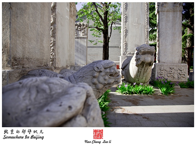 查看更多精彩图片