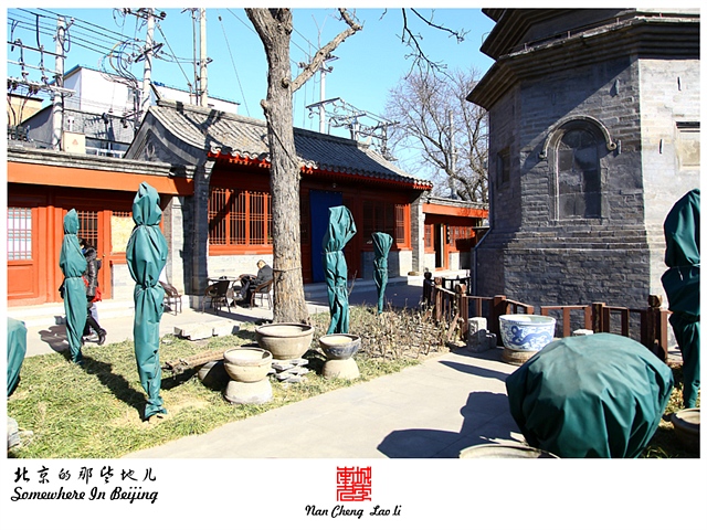 查看更多精彩图片