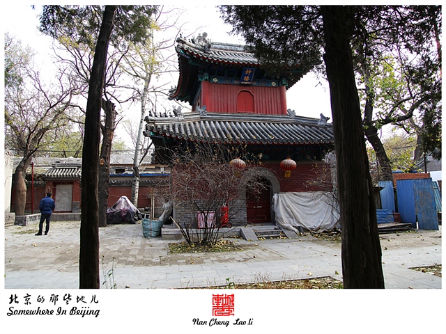 查看更多精彩图片