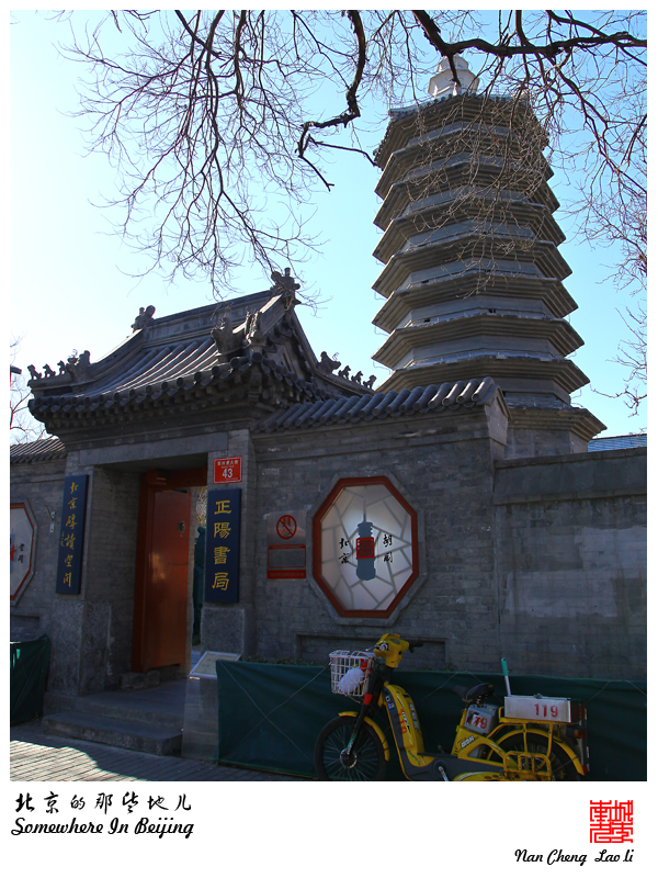 查看更多精彩图片