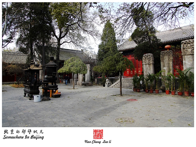 查看更多精彩图片