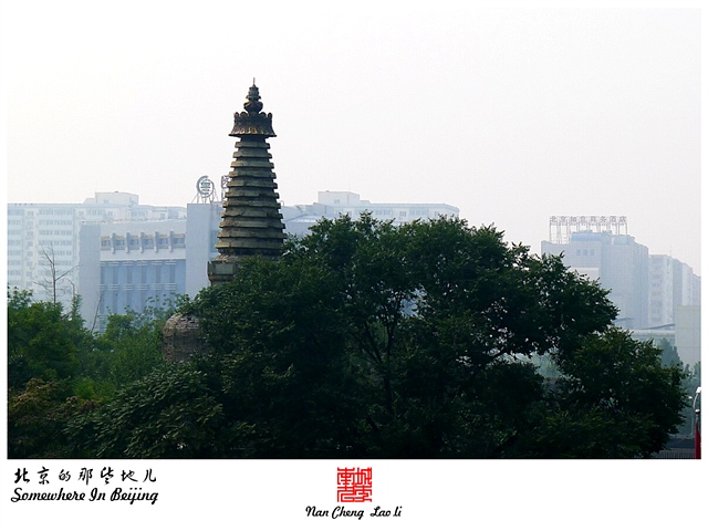 查看更多精彩图片