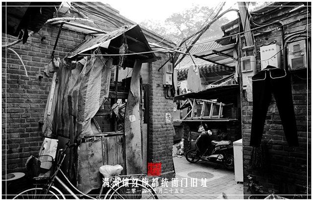 查看更多精彩图片