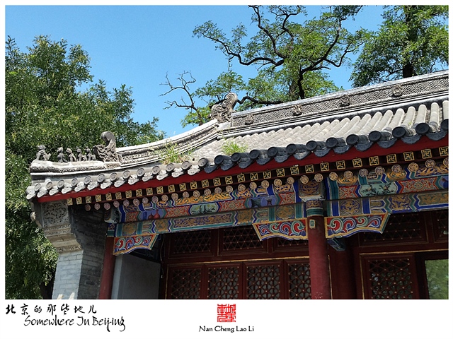 查看更多精彩图片