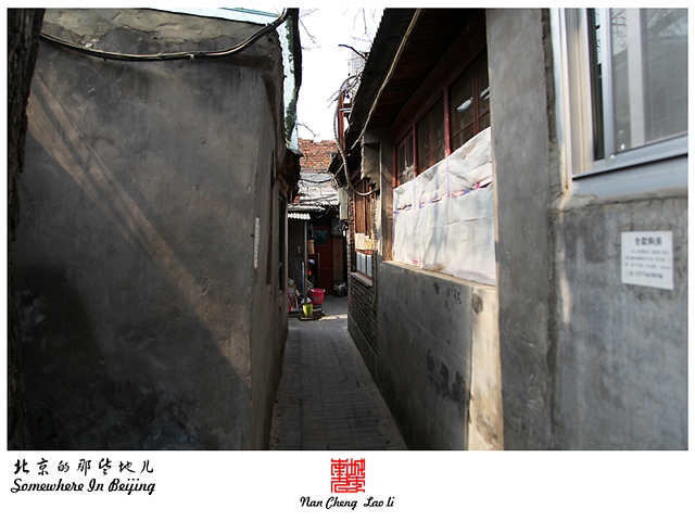 查看更多精彩图片