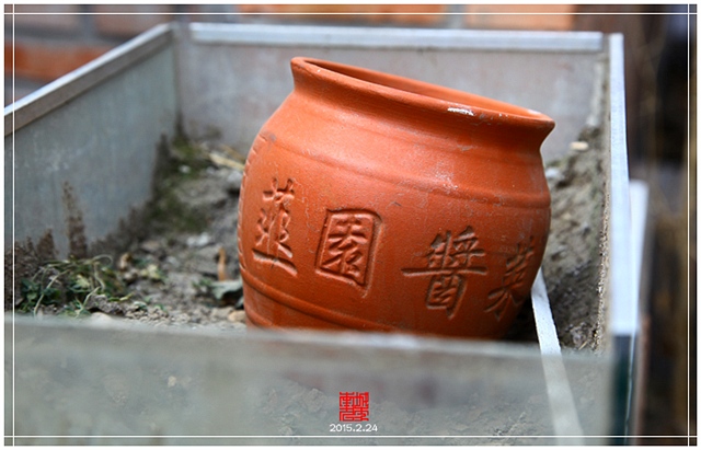 查看更多精彩图片