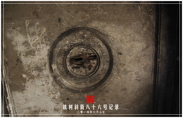 查看更多精彩图片