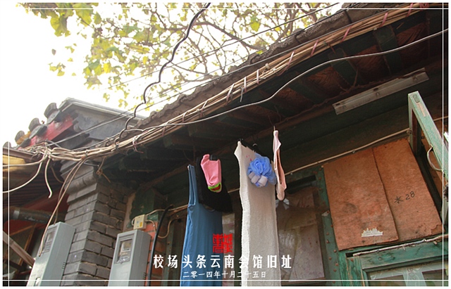 查看更多精彩图片