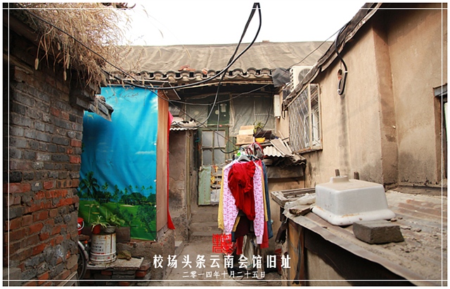 查看更多精彩图片