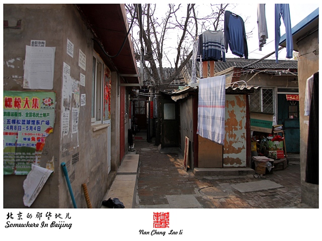查看更多精彩图片