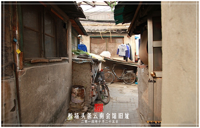 查看更多精彩图片