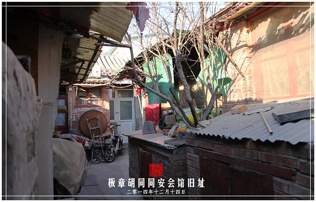 查看更多精彩图片