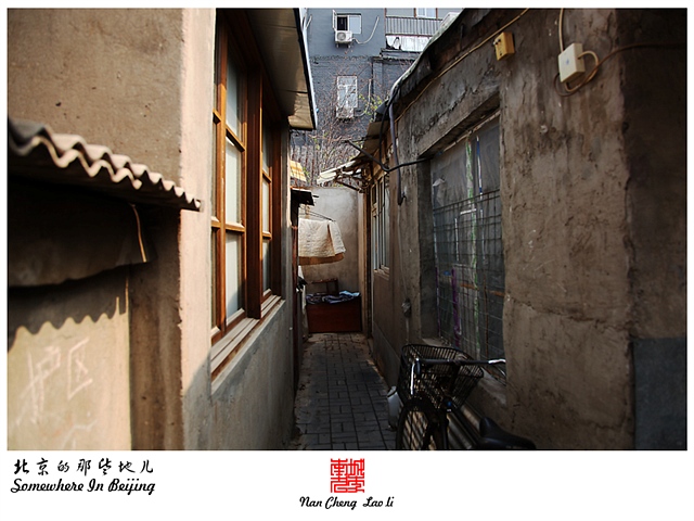 查看更多精彩图片