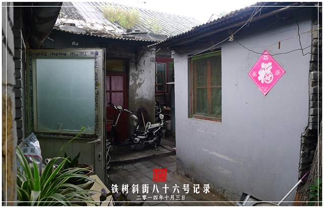 查看更多精彩图片