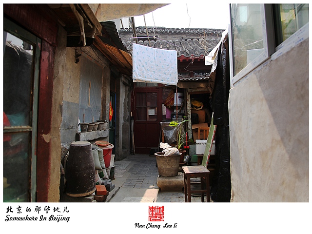 查看更多精彩图片