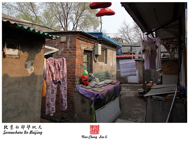 查看更多精彩图片