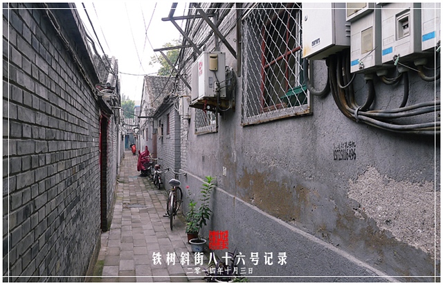 查看更多精彩图片