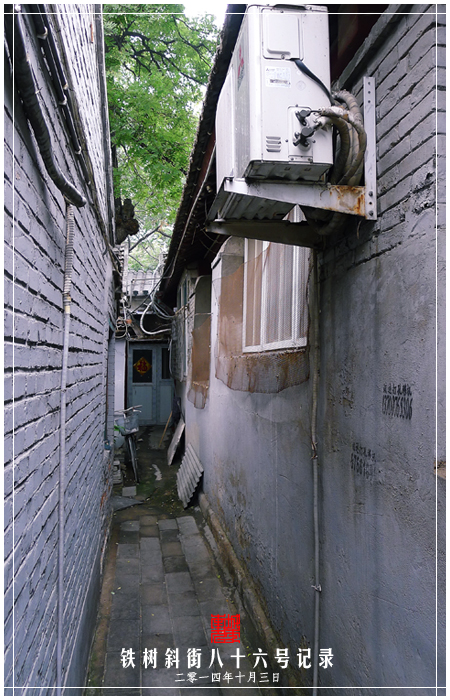 查看更多精彩图片